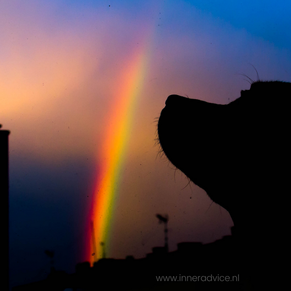 De spirituele betekenissen van regenbogen